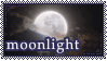 moonlight